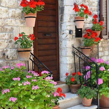 Casa Gentile Apartment Assisi Exterior foto