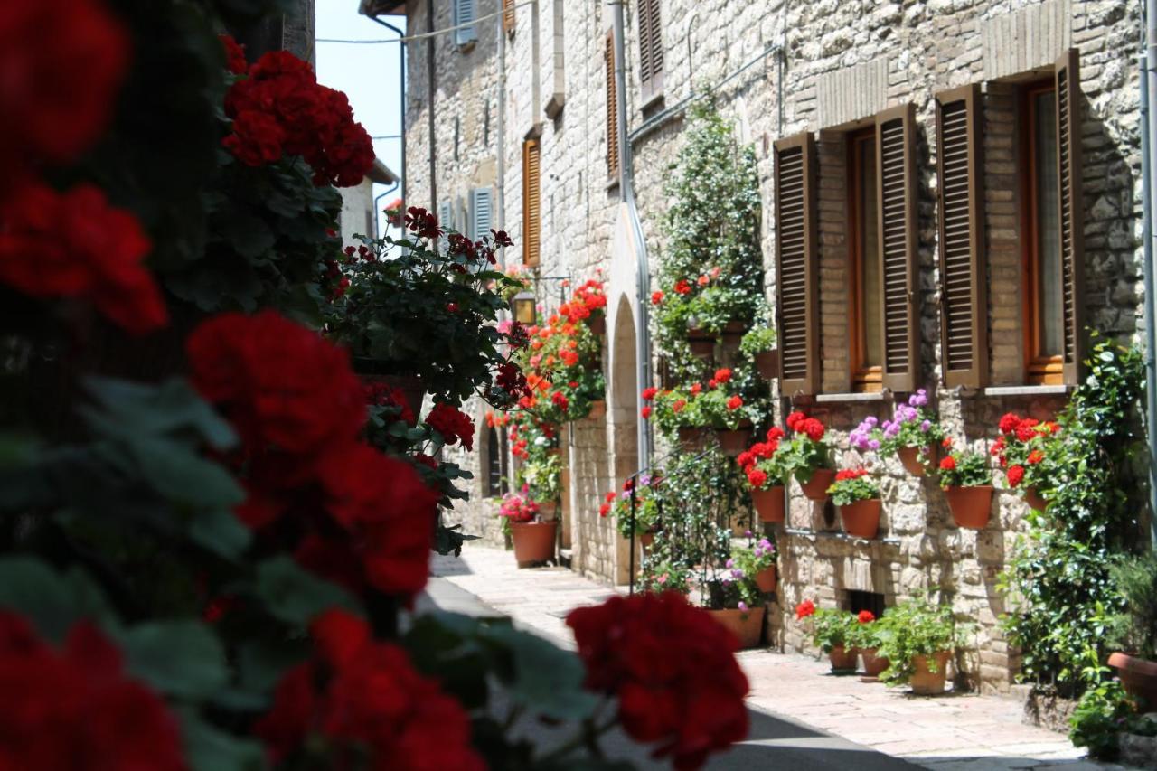 Casa Gentile Apartment Assisi Exterior foto